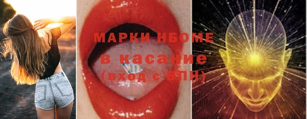 твердый Аркадак